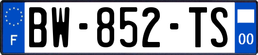BW-852-TS