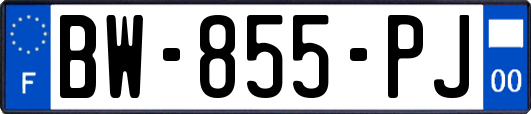 BW-855-PJ
