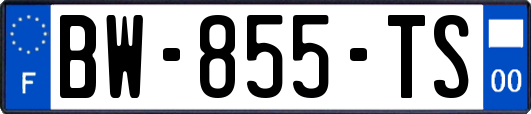 BW-855-TS