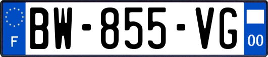 BW-855-VG