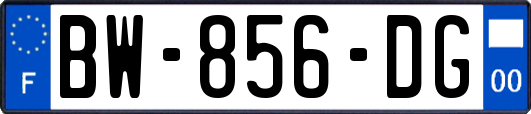 BW-856-DG