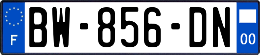 BW-856-DN