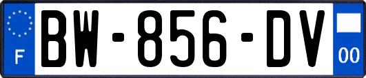 BW-856-DV