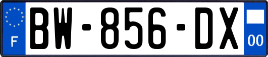 BW-856-DX