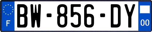 BW-856-DY