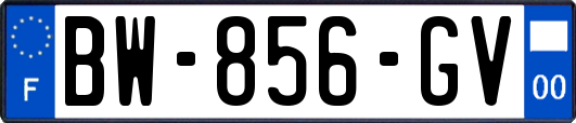 BW-856-GV