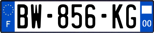 BW-856-KG