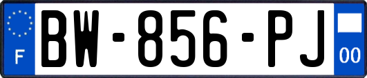 BW-856-PJ