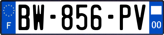 BW-856-PV
