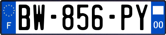 BW-856-PY
