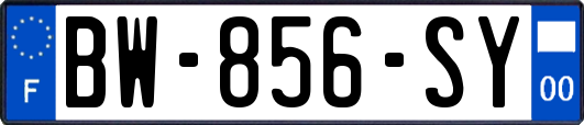 BW-856-SY
