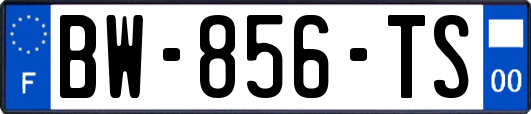 BW-856-TS