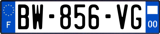 BW-856-VG