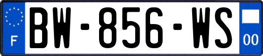BW-856-WS
