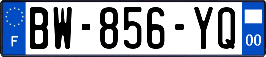 BW-856-YQ