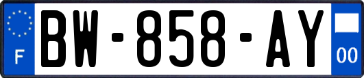 BW-858-AY