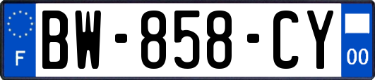 BW-858-CY