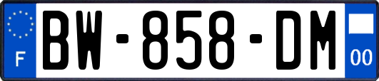 BW-858-DM
