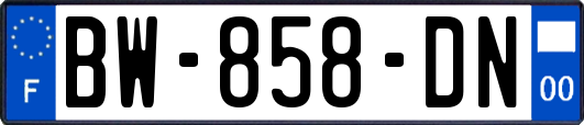 BW-858-DN