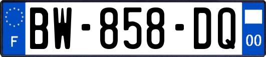 BW-858-DQ