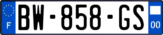 BW-858-GS