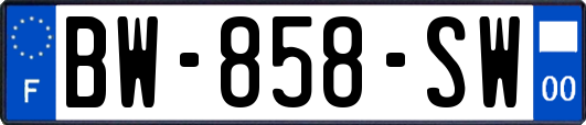 BW-858-SW