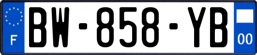 BW-858-YB
