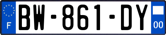 BW-861-DY