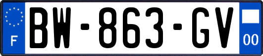 BW-863-GV