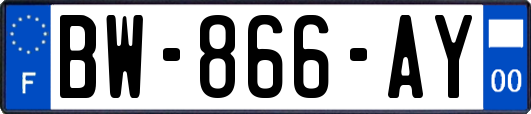 BW-866-AY