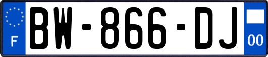BW-866-DJ