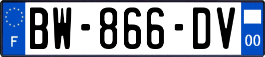 BW-866-DV