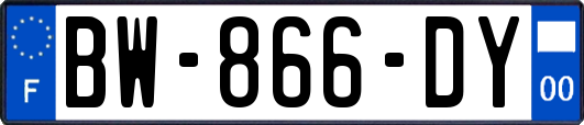 BW-866-DY