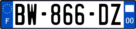 BW-866-DZ