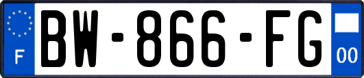 BW-866-FG