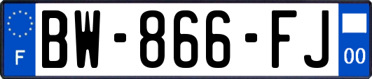 BW-866-FJ