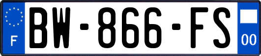 BW-866-FS