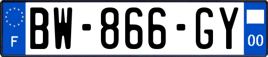 BW-866-GY