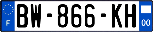 BW-866-KH
