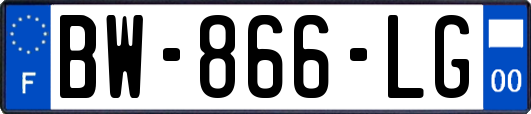 BW-866-LG
