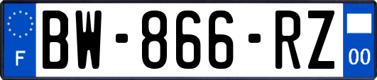 BW-866-RZ