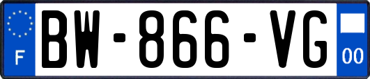 BW-866-VG