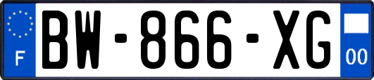 BW-866-XG
