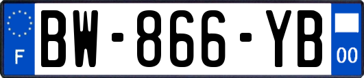 BW-866-YB