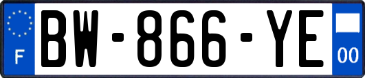 BW-866-YE