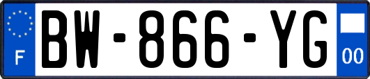 BW-866-YG