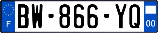 BW-866-YQ
