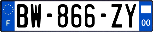 BW-866-ZY