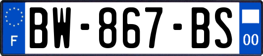 BW-867-BS