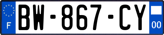 BW-867-CY